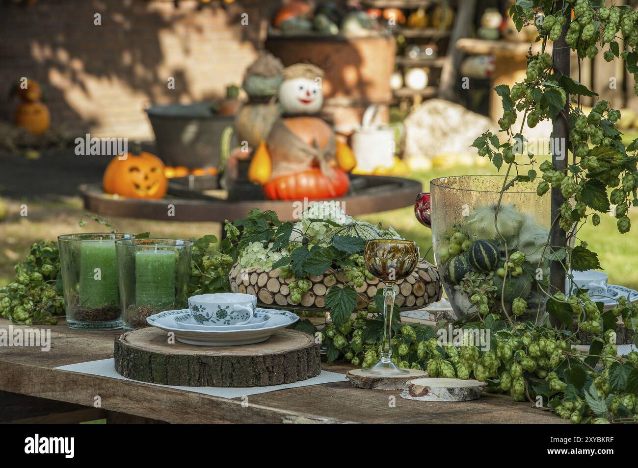 Un tavolo all'aperto riccamente allestito con bevande verdi, decorazioni e zucche sullo sfondo, borken, muensterland, Germania, Europa Foto Stock