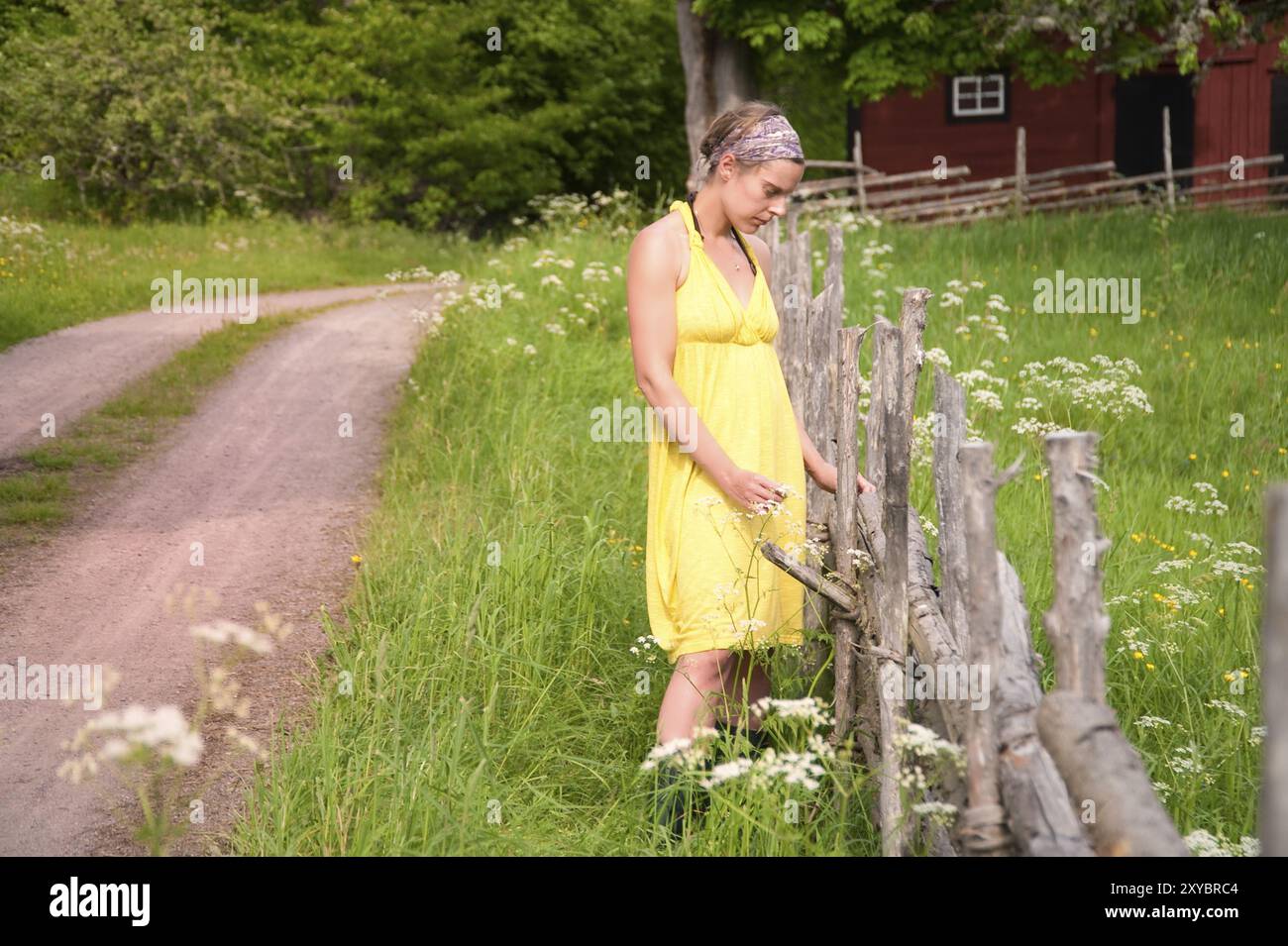 Giovane donna in una fattoria svedese di fronte a una tradizionale recinzione in legno Foto Stock