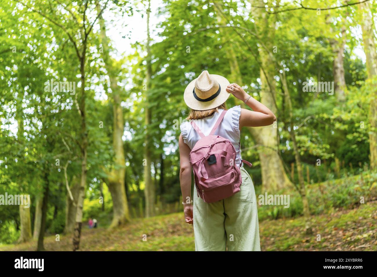 Vista posteriore di una femmina esploratrice caucasica che fa un'escursione in una foresta tranquilla e verde Foto Stock