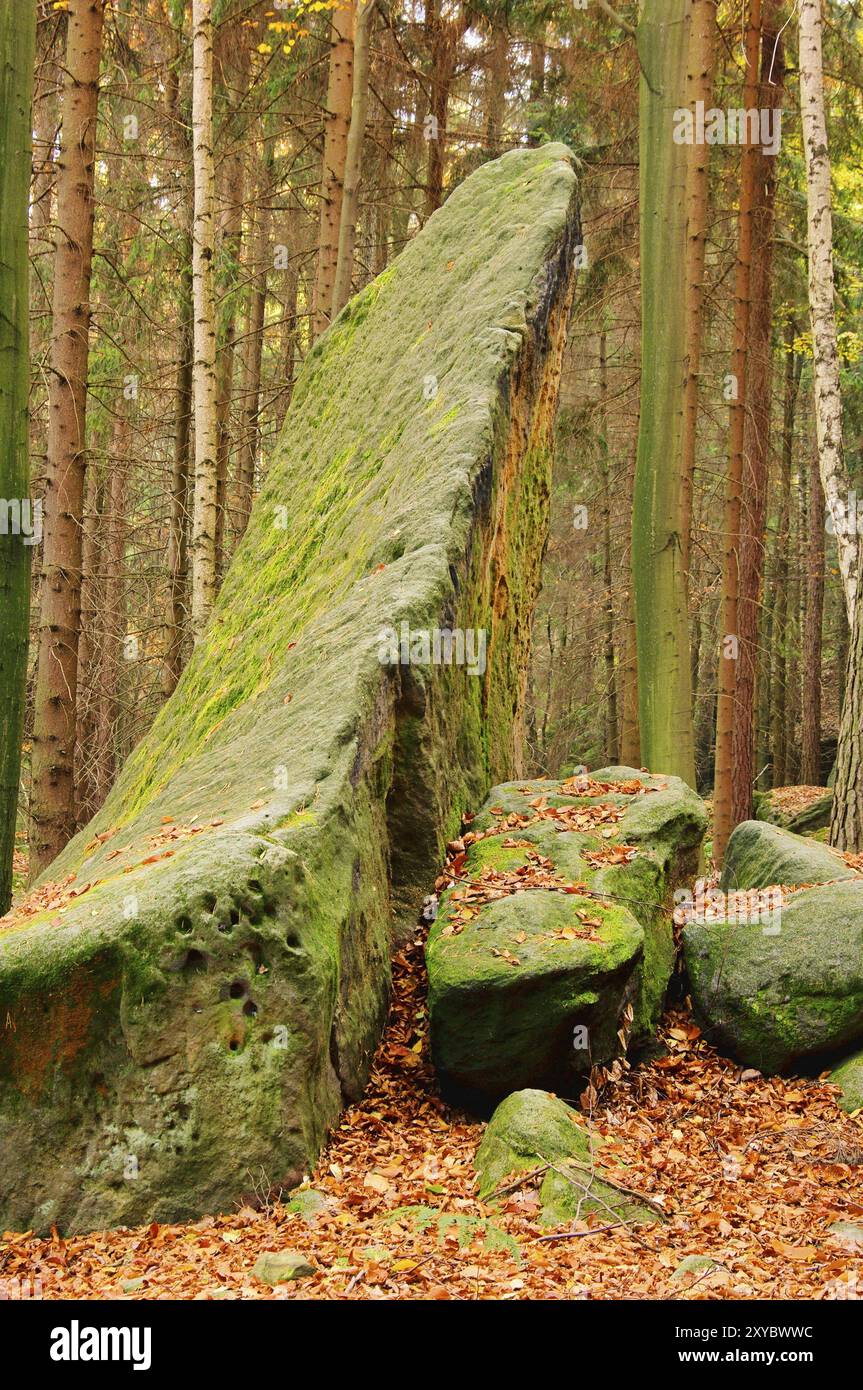 Sandsteinfelsen im Wald, pietra arenaria nella foresta 14 Foto Stock