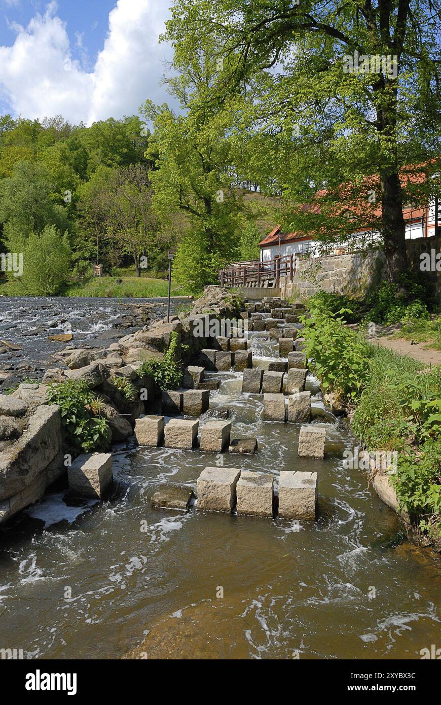 Scala di pesce sul fiume Neisse Foto Stock