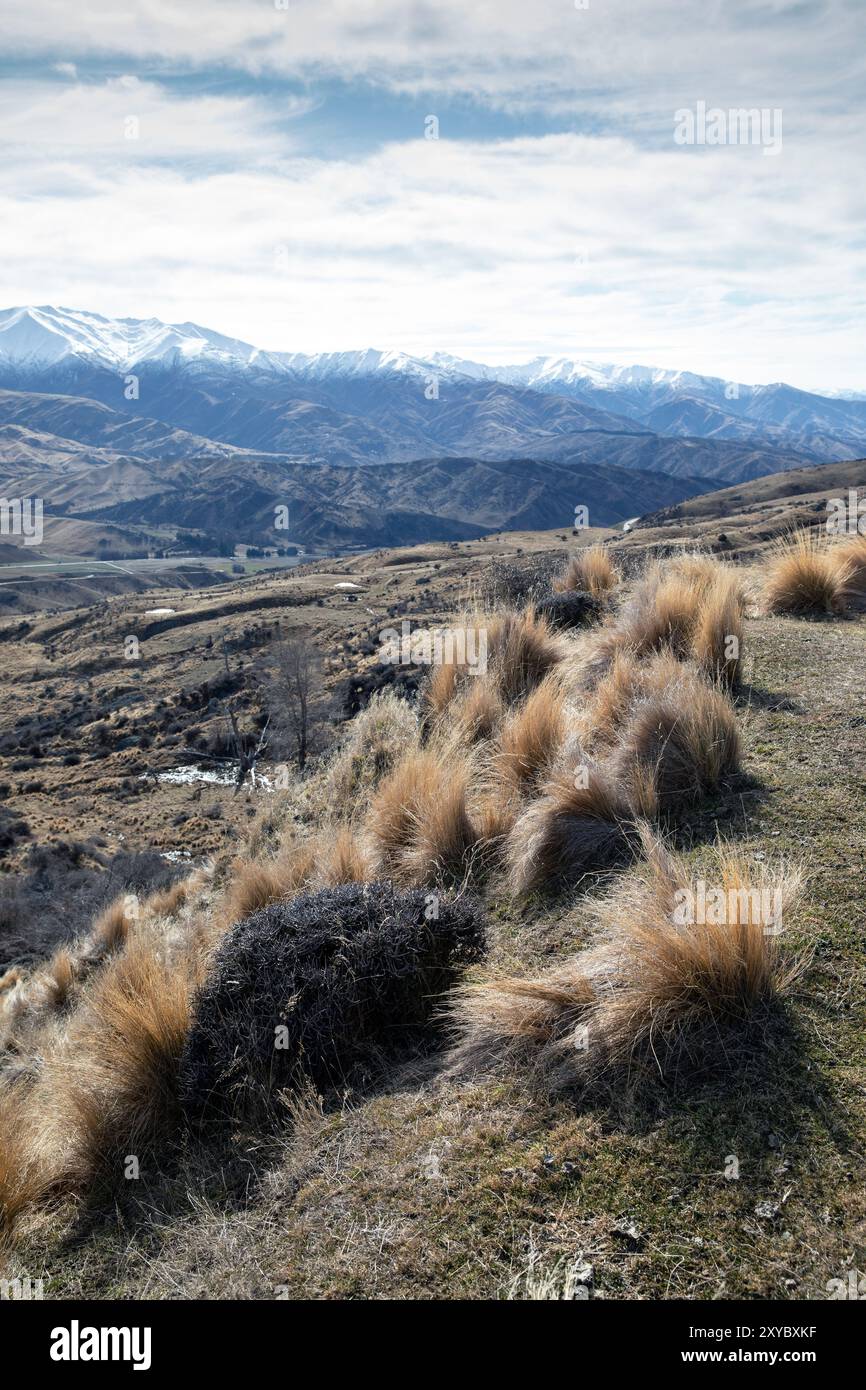 Wanaka, New Zealand South Island Foto Stock