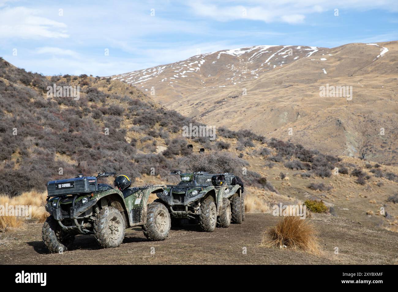 Wanaka, New Zealand South Island Foto Stock