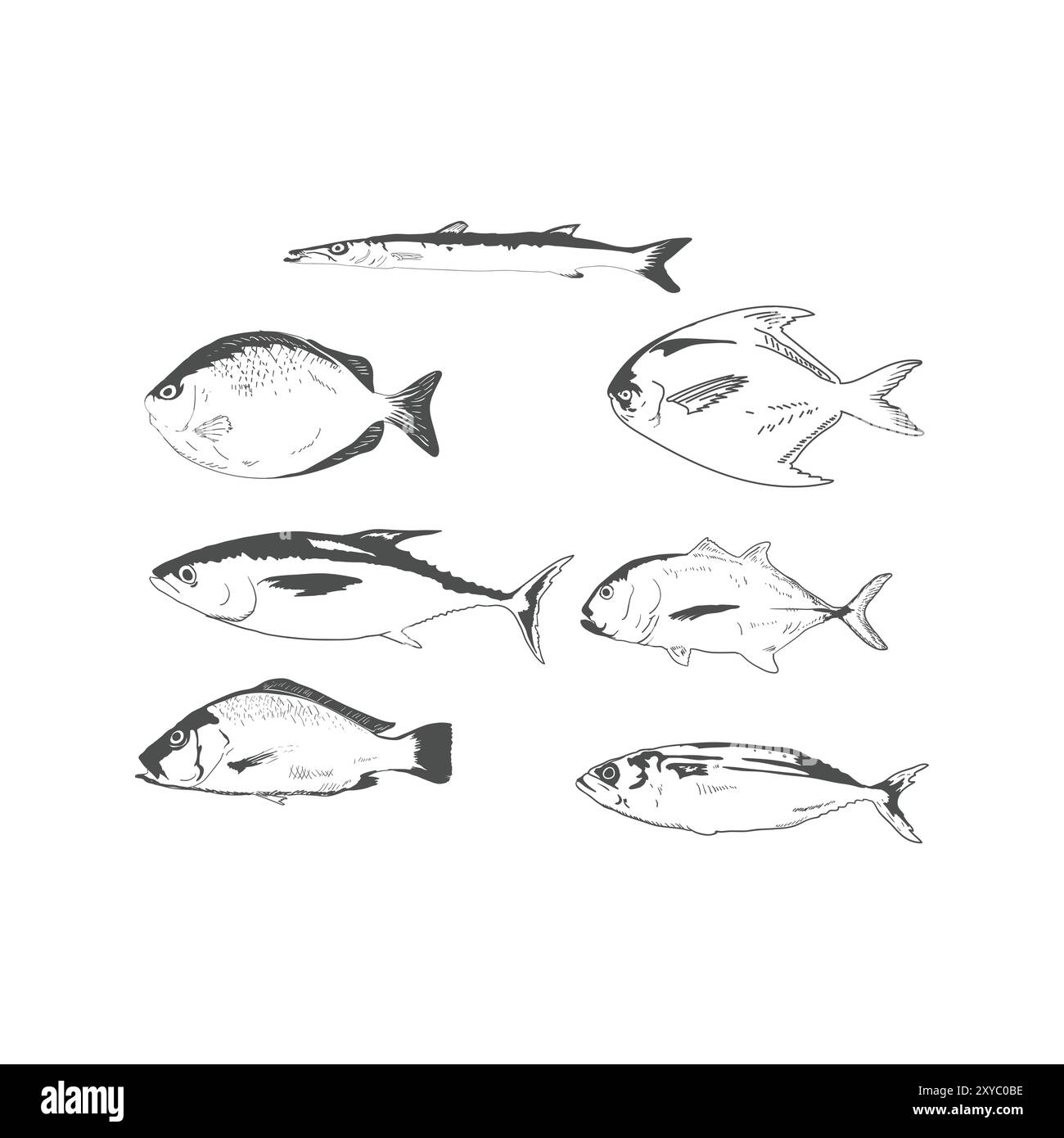 Set di vintage retro Set Collection tipo di consumo di Ocean Sea Fish Illustration Vector Illustrazione Vettoriale