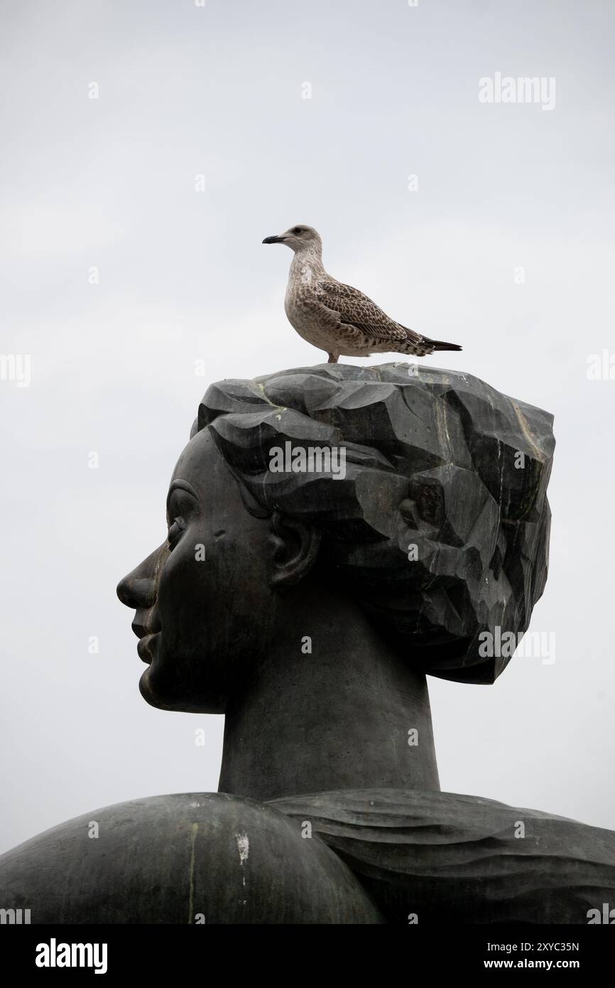 Un gabbiano immaturo di aringhe sul sangue nella scultura Jacuzzi, Victoria Square, Birmingham, Regno Unito Foto Stock