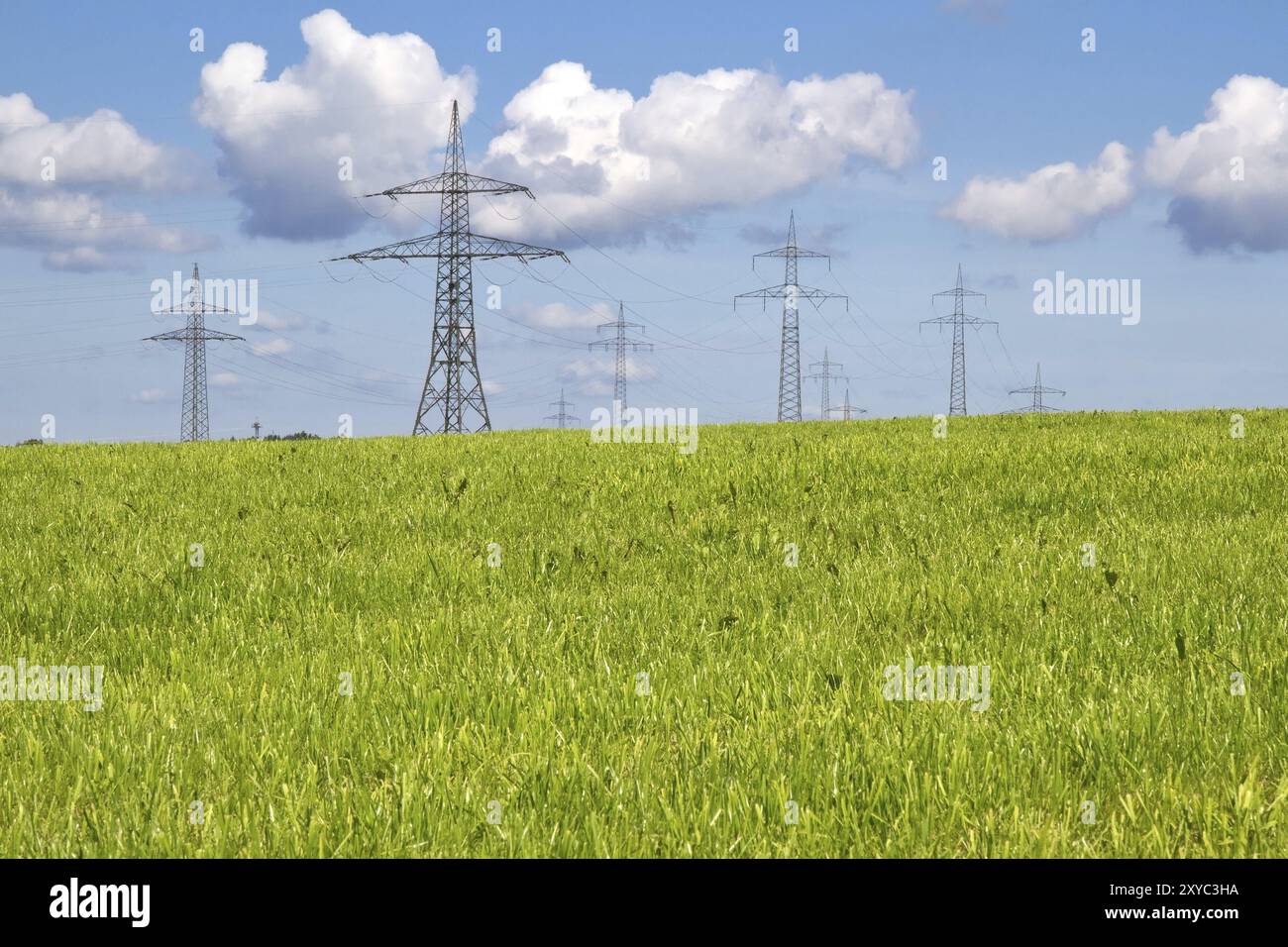 Piloni ad alta tensione su un prato in Baviera Foto Stock