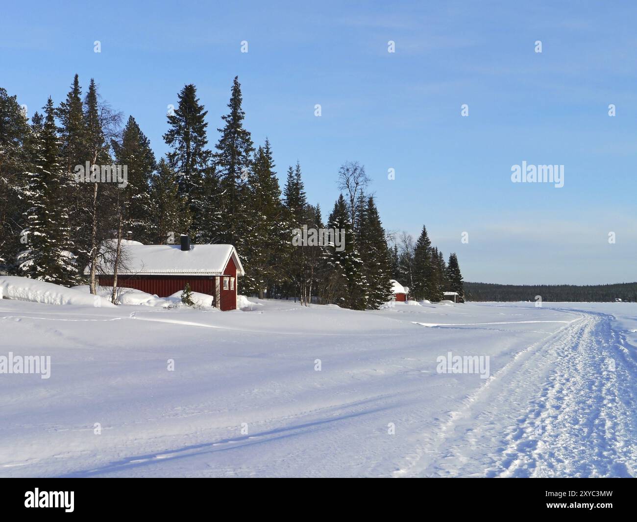 Inverno in Lapponia Foto Stock