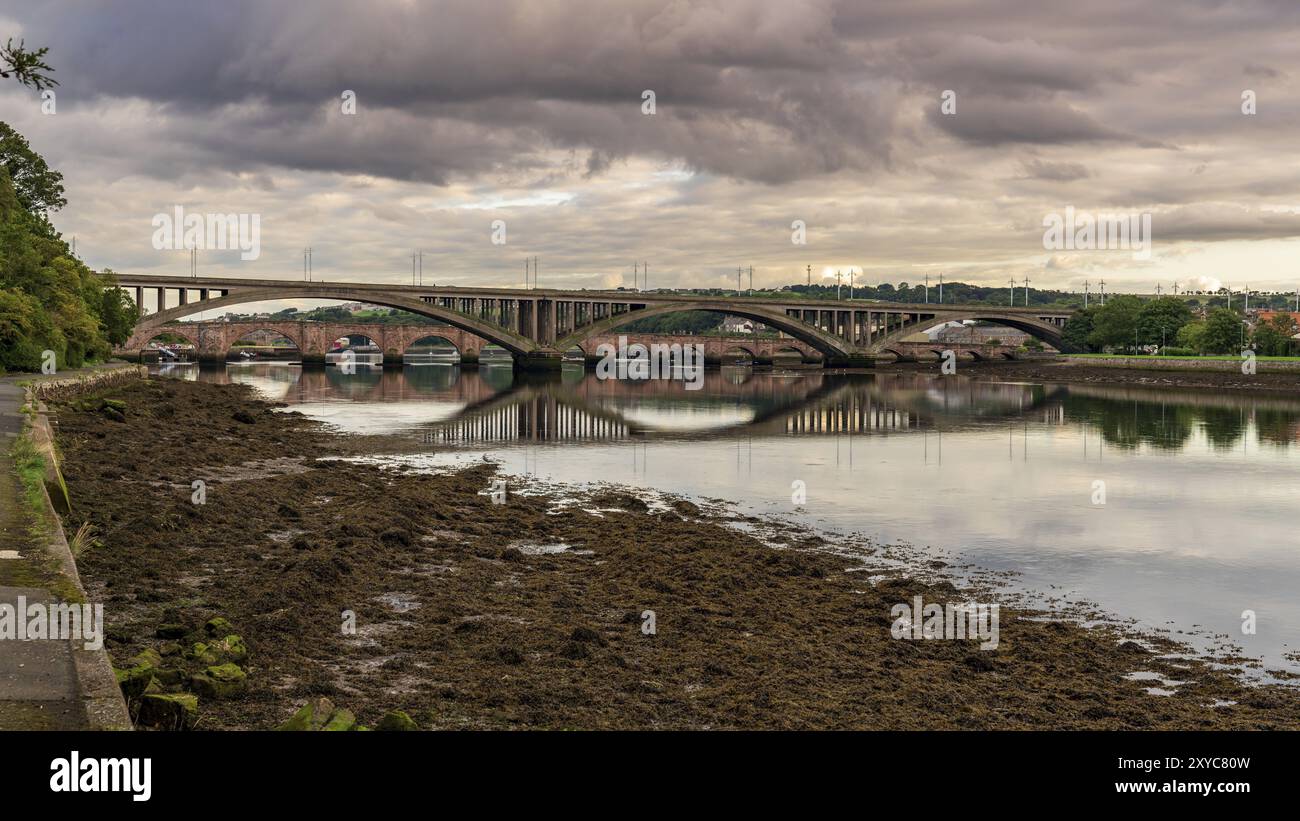 Royal Tweed Bridge e Berwick ponte in background, che conduce oltre il fiume Tweed in Berwick-Upon-Tweed, Northumberland, England, Regno Unito Foto Stock