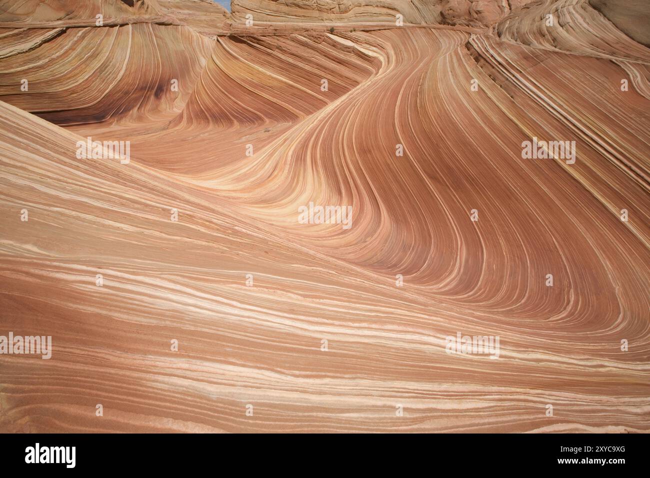 L'onda nel Paria Canyon Foto Stock