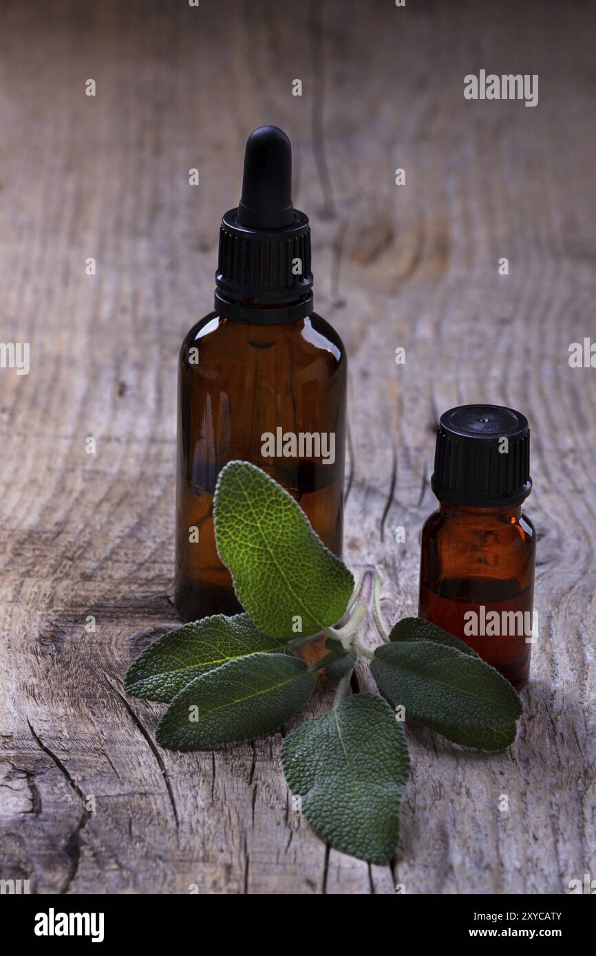 La salvia e olio essenziale in una bottiglia, medicina alternativa e spa Foto Stock