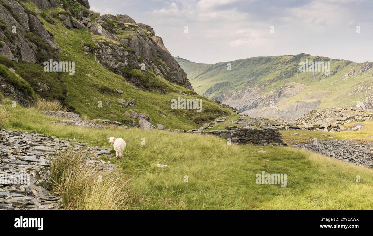 Vista da Moel yr Hydd vicino a Blaenau Ffestiniog, Gwynedd, Wales, Regno Unito Foto Stock