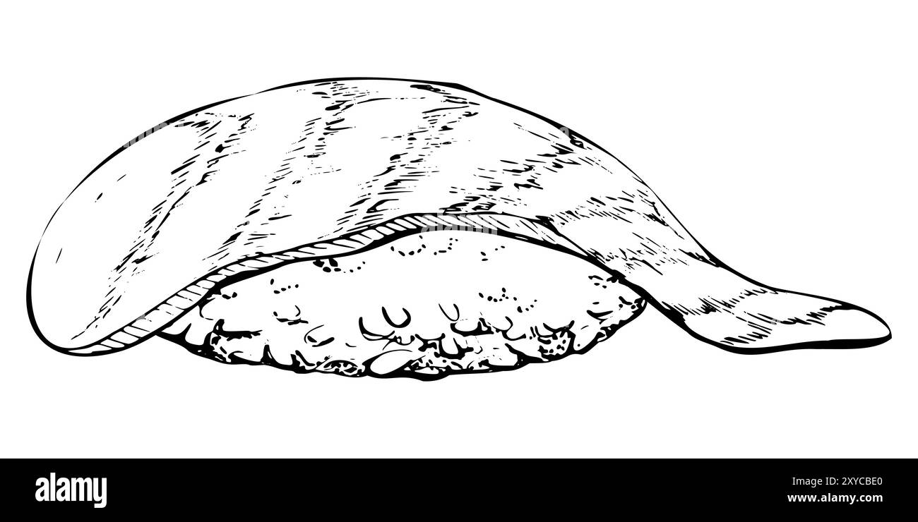 Cibo tradizionale giapponese, sushi nigiri pesce crudo su palla di riso, tonno salmone, pinna bianca, stampigliata a mano in penna vettoriale, inchiostro. Illustrazione per Illustrazione Vettoriale