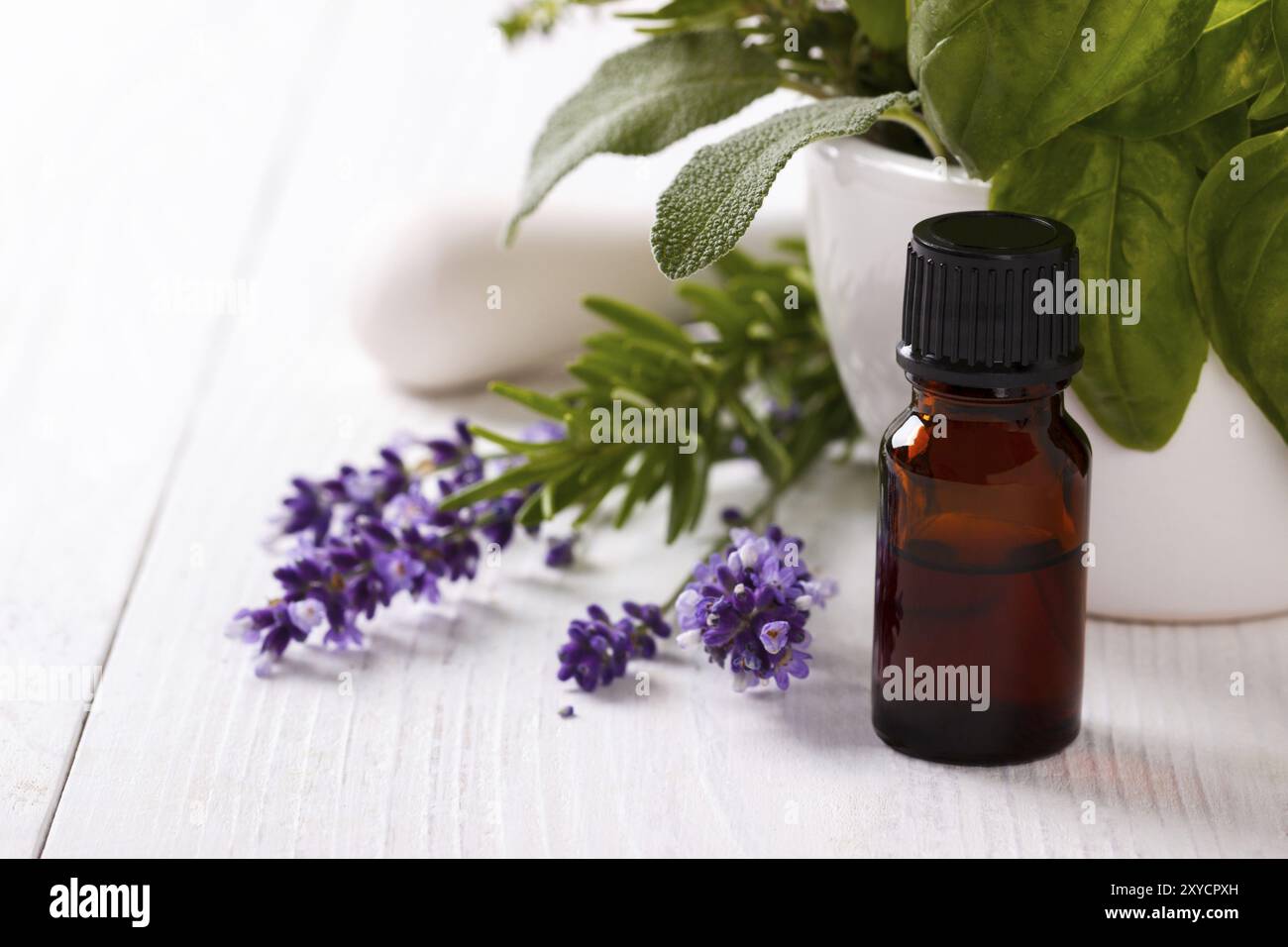 Fiori di lavanda e olio essenziale su sfondo bianco. Centro benessere Foto Stock