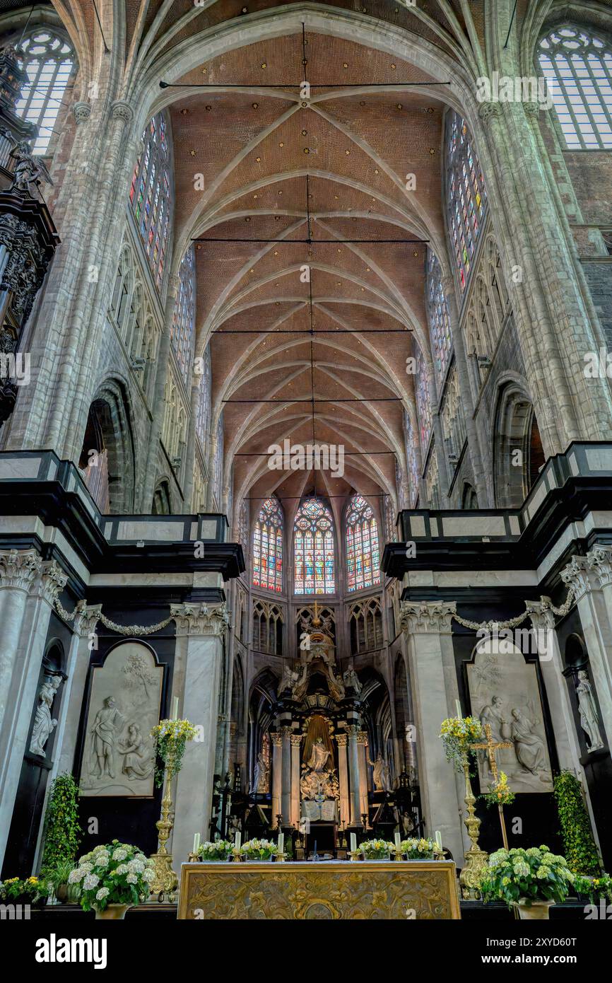 Cattedrale gotica di San Bavone del X secolo, soffitto a volta e colonne della navata centrale, Gand, Fiandre, Belgio Foto Stock