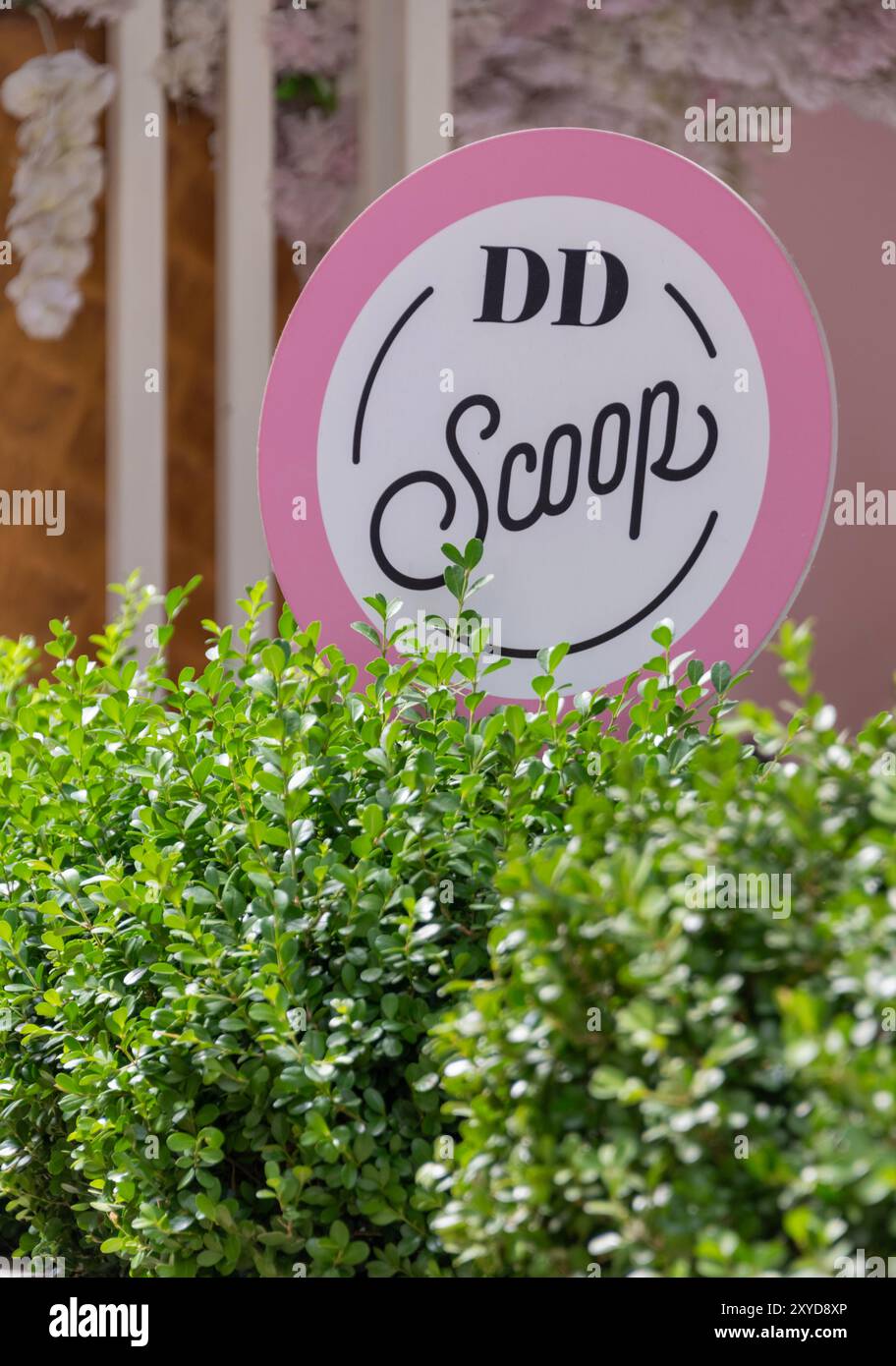 Logo DD Scoop Ice Cream Shop, Galataport, Istanbul, Turchia Foto Stock