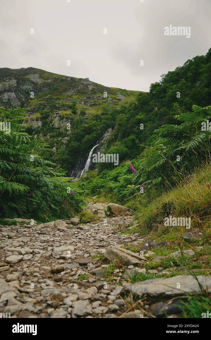 Aber Falls, cascata in Galles Foto Stock