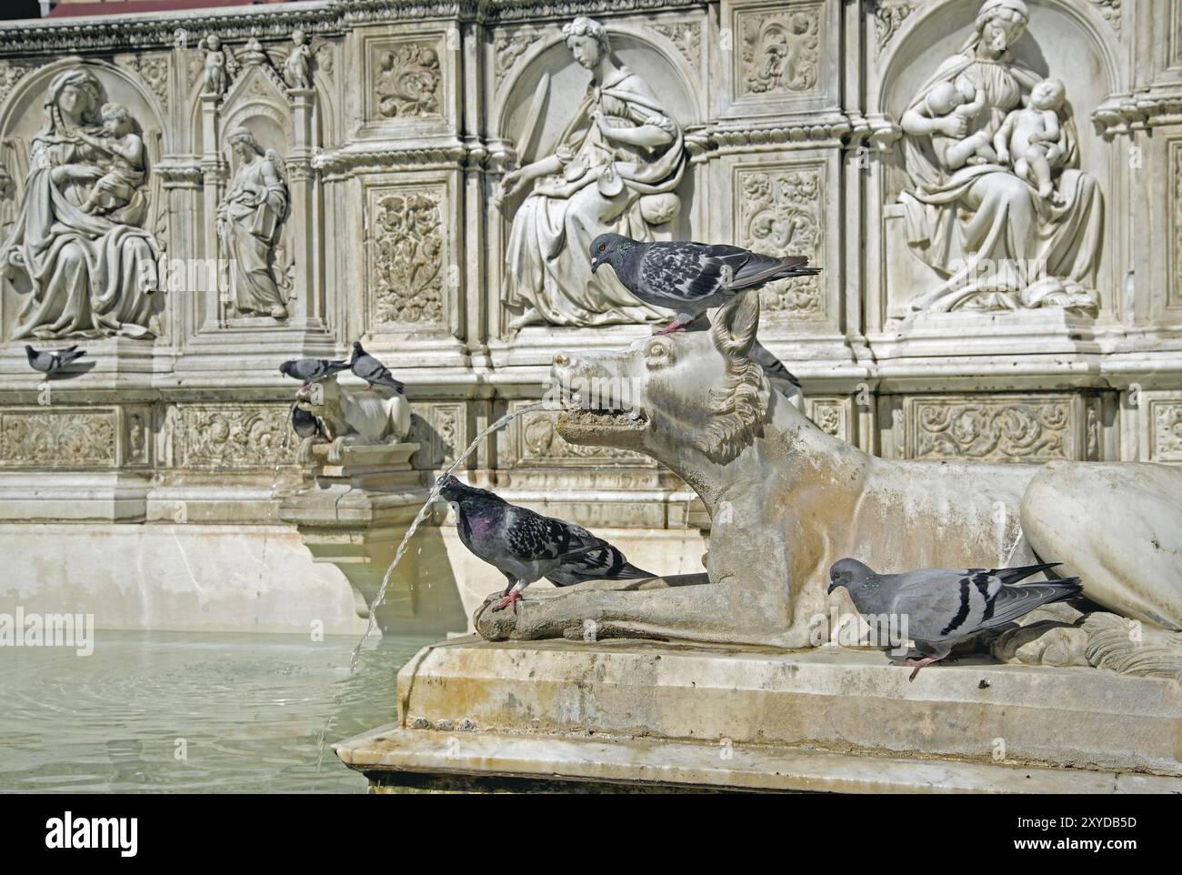 Piazza del campo, turisti, Fontana Gaia, piccioni, acqua, opere d'arte, Fontana Gaia, piccioni Foto Stock