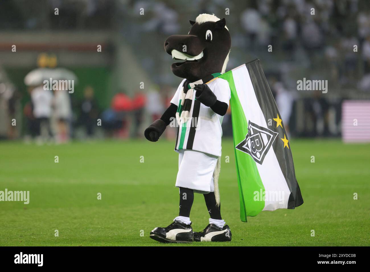 firo : 23.08.2024, calcio, calcio, 1. Campionato, 1. Bundesliga, stagione 2024/2025, VfL Borussia Monchengladbach Gladbach - Bayer Leverkusen Junter Fohlen Mascot Foto Stock