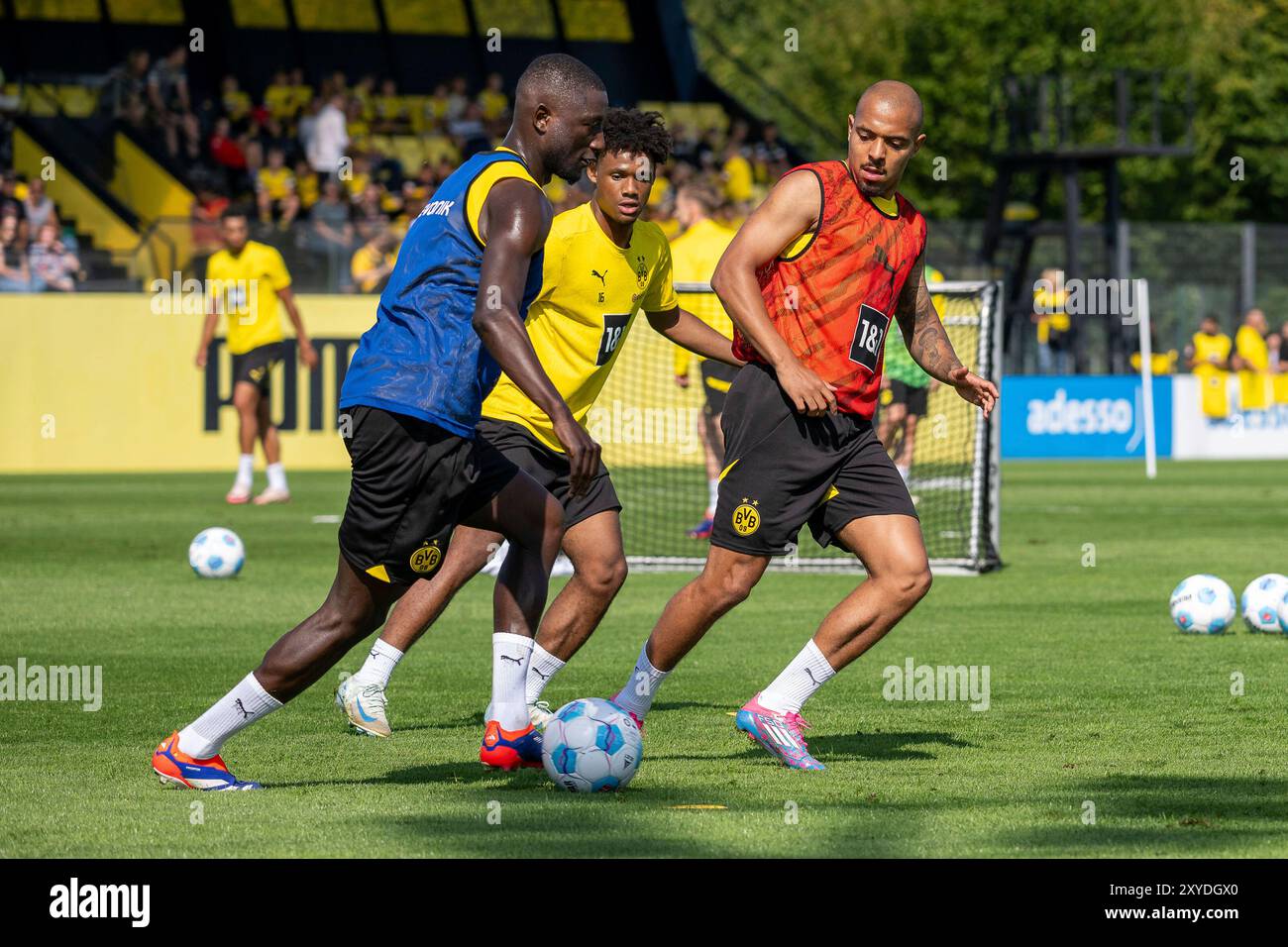 27.08.2024, Fussball: 1. Bundesliga, Saison 2024/2025, oeffentliches Training, Borussia Dortmund im Trainingszentrum a Dortmund-Brackel. Zweikampf zwischen Serhou Guirassy (Borussia Dortmund 09, #19) und Donyell Malen (Borussia Dortmund 09, #21). Dabei Julien Duranville (Borussia Dortmund 09, n. 16). Foto: Kirchner-Media/TH Foto Stock