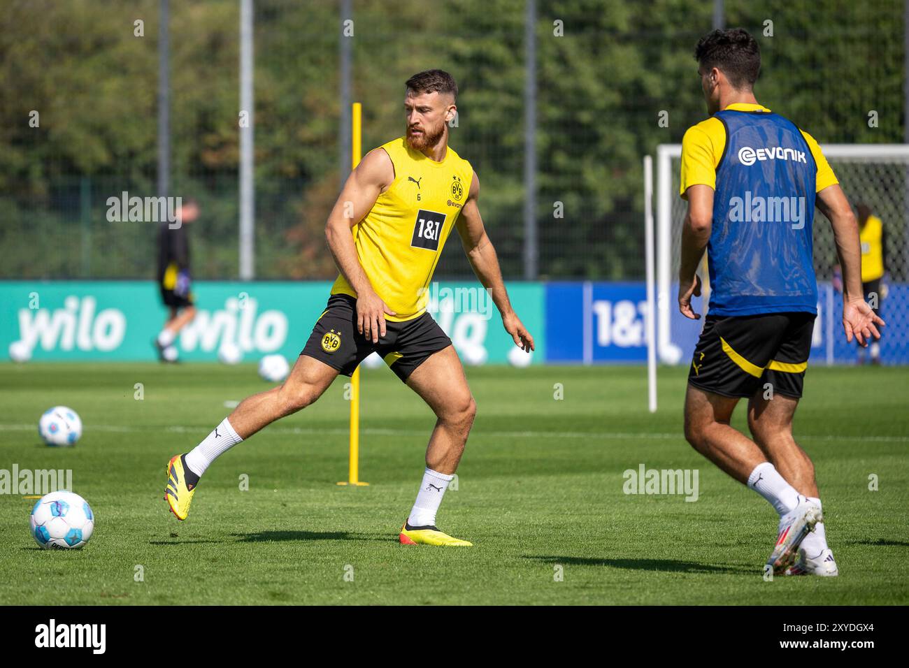 27.08.2024, Fussball: 1. Bundesliga, Saison 2024/2025, oeffentliches Training, Borussia Dortmund im Trainingszentrum a Dortmund-Brackel. Salih Oezcan (Borussia Dortmund 09, #06) Hat den Ball mit der Hacke weiter geleitet. Davor Giovanni Reyna (Borussia Dortmund 09, n. 07). Foto: Kirchner-Media/TH Foto Stock