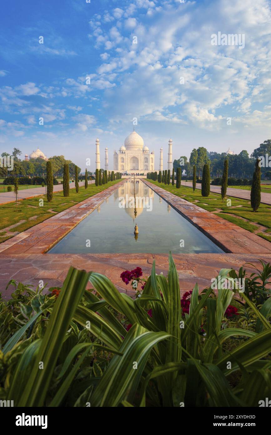 Pianta in primo piano al vuoto Taj Mahal riflesso nella fontana d'acqua del giardino prato di fronte ad Agra, India, in una giornata di cielo azzurro. Scatto grandangolare verticale per Foto Stock