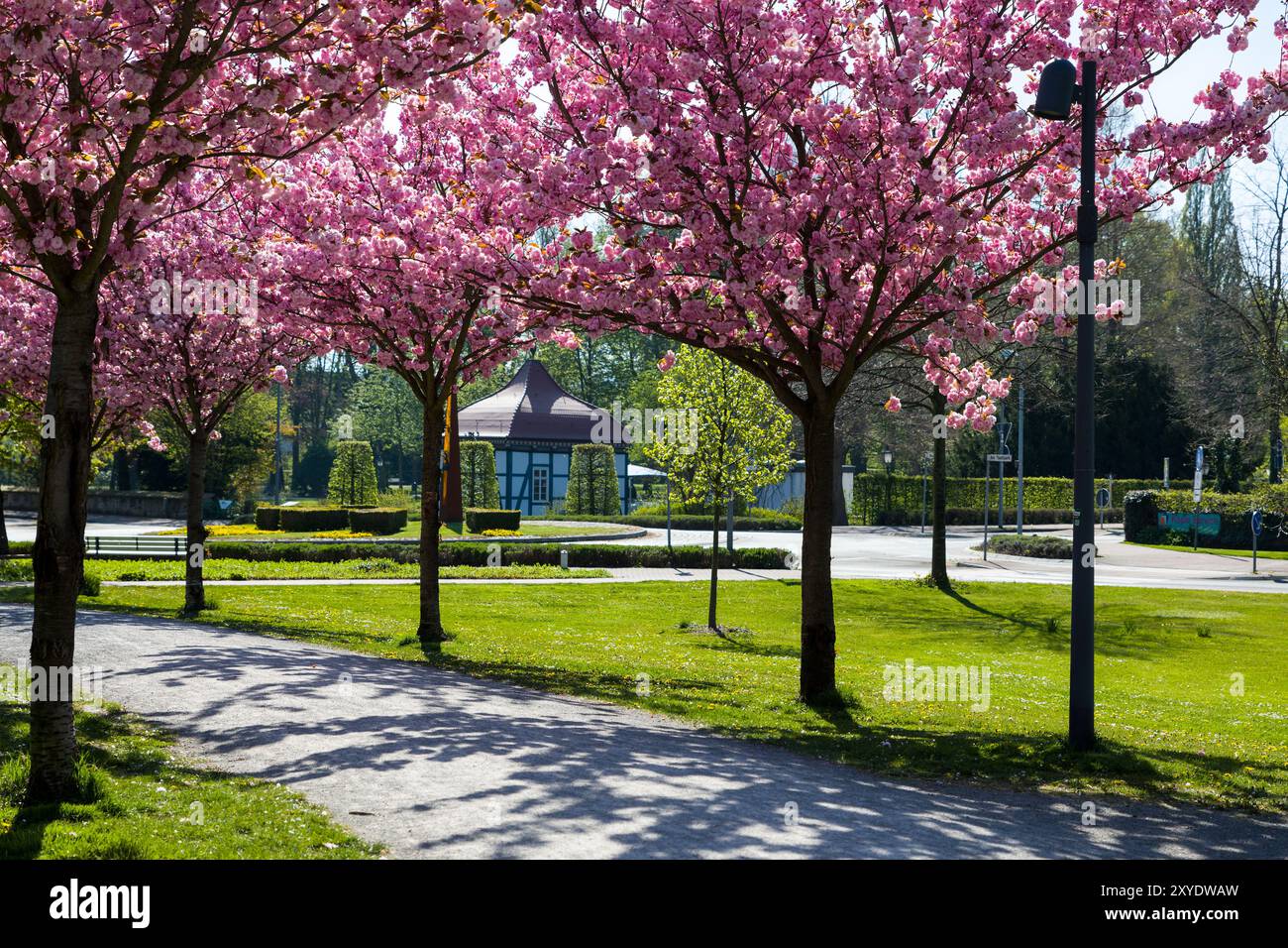 Viale dei ciliegi, bastione, Stadthagen, bassa Sassonia Foto Stock