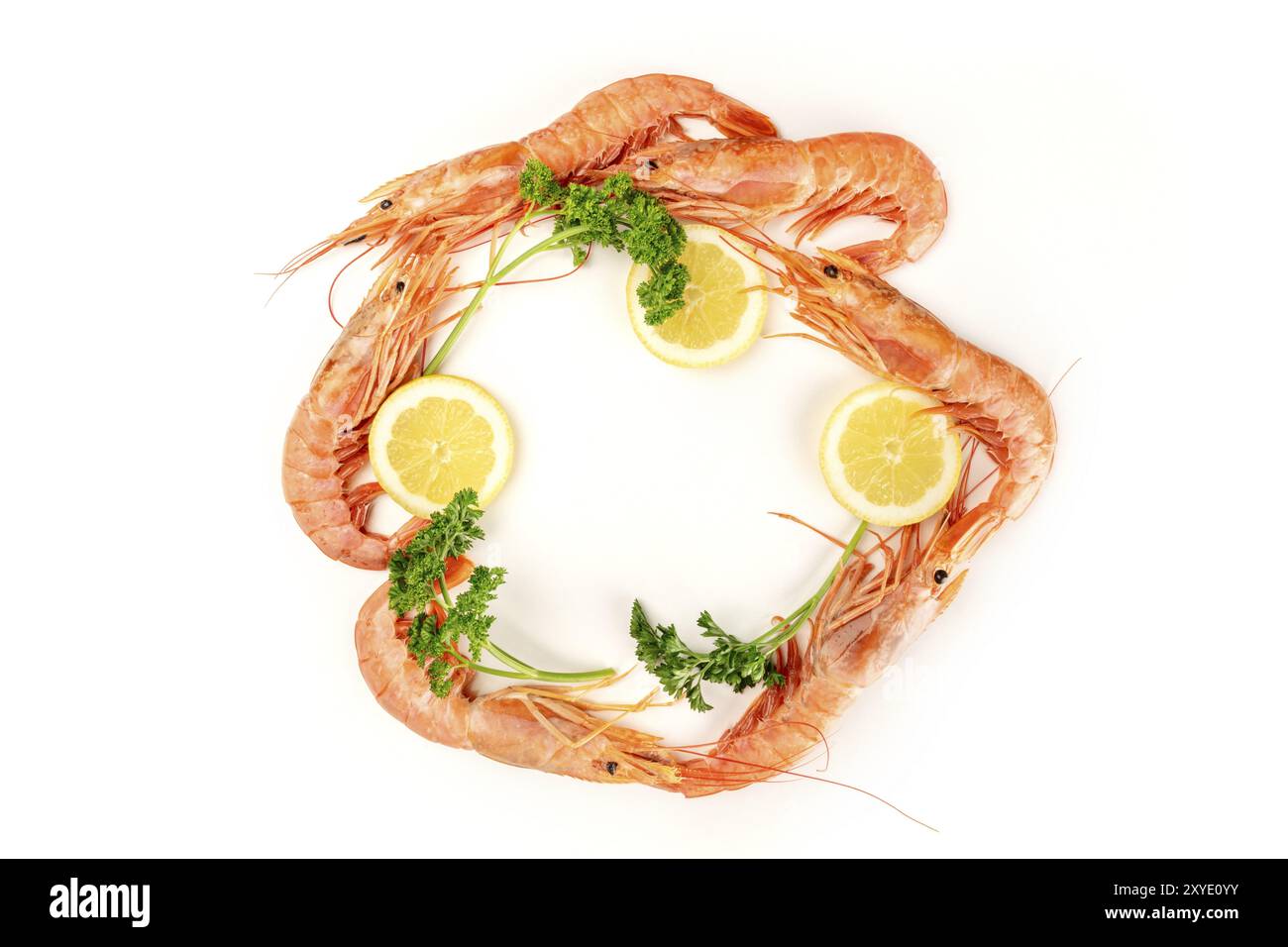 Una foto aerea di materie gamberetti grigi su bianco, con prezzemolo e fette di limone, formando una cornice circolare con spazio di copia Foto Stock