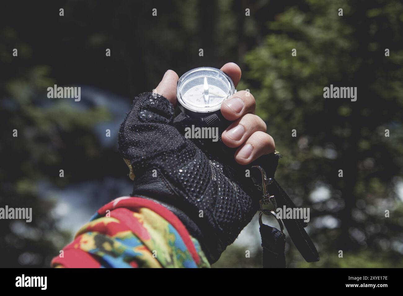 Una mano con i guanti regge una bussola magnetica sullo sfondo di una foresta di conifere e di un fiume di montagna. Il concetto di navigazione all'aperto Foto Stock