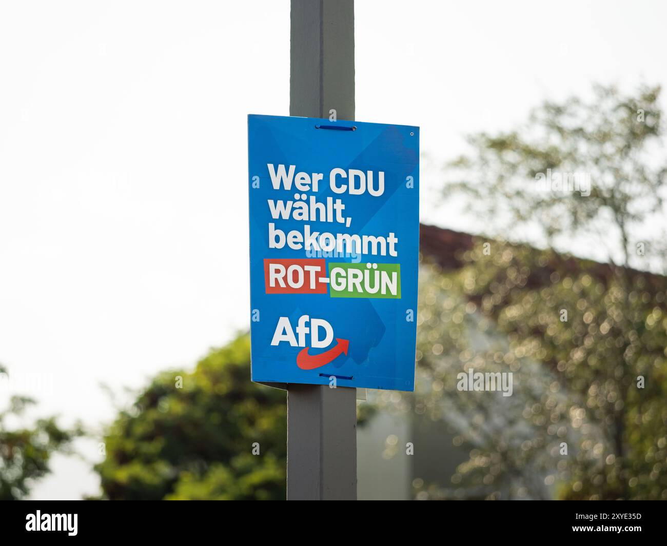 Poster della campagna elettorale dell'AFD con lo slogan "Wer CDU wählt, bekommt ROT-Grün" (chi vota per la CDU ottiene rosso-verde) nella Germania dell'Est. Foto Stock