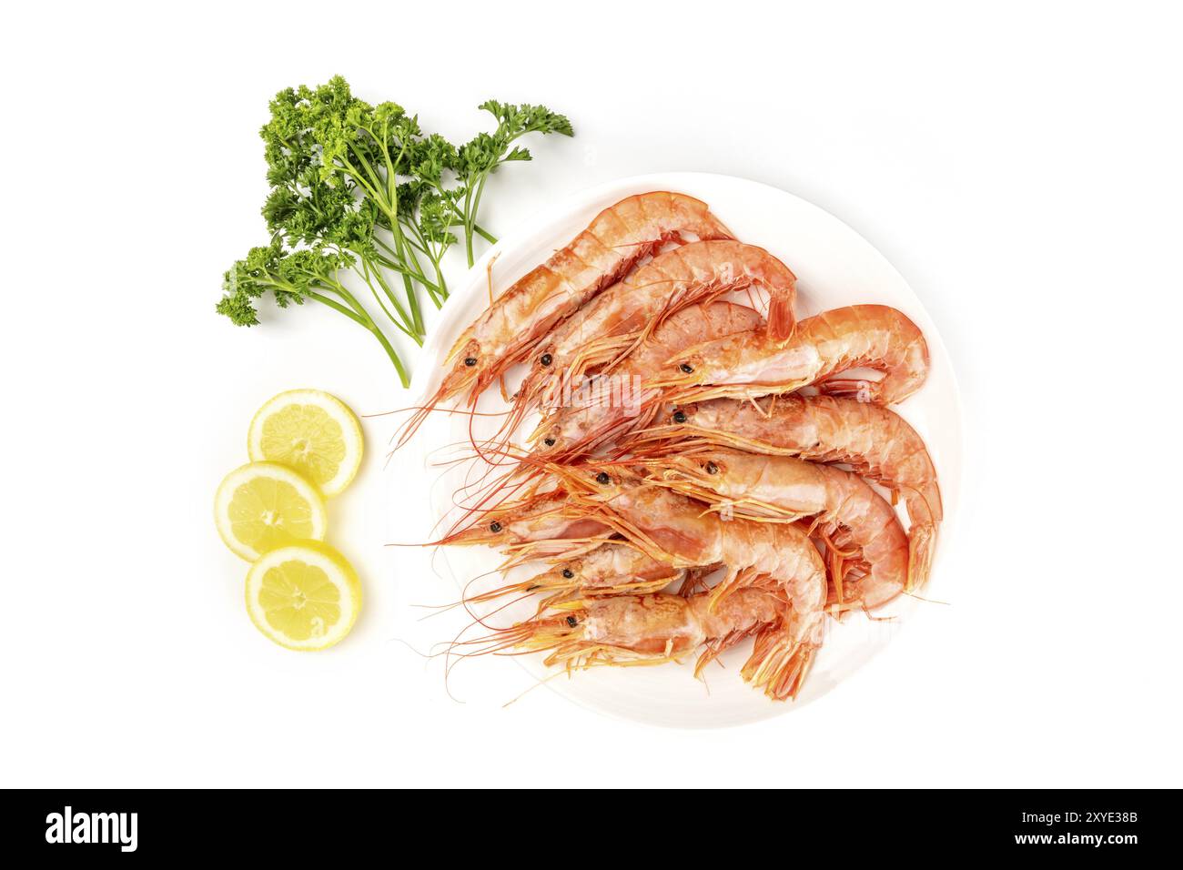Una foto aerea della piastra di materie gamberetti grigi su bianco, con prezzemolo e fettine di limone, con spazio di copia Foto Stock