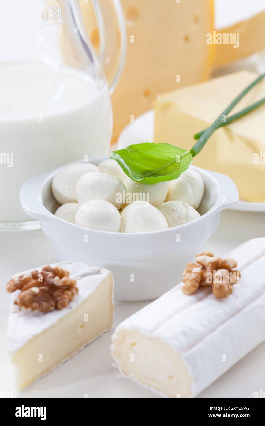 Assortimento di diversi prodotti caseari su sfondo bianco Foto Stock