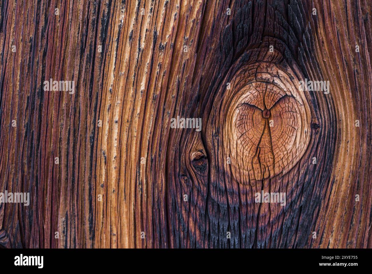 Primo piano immagine del vecchio legno rustico, knothole Foto Stock
