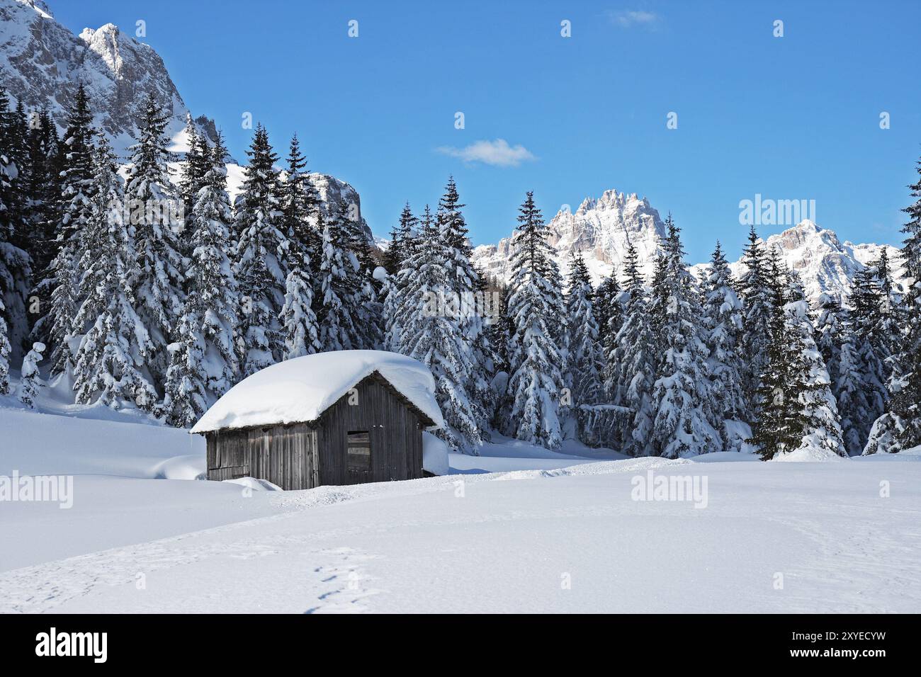 Telecomando e nevicata Foto Stock