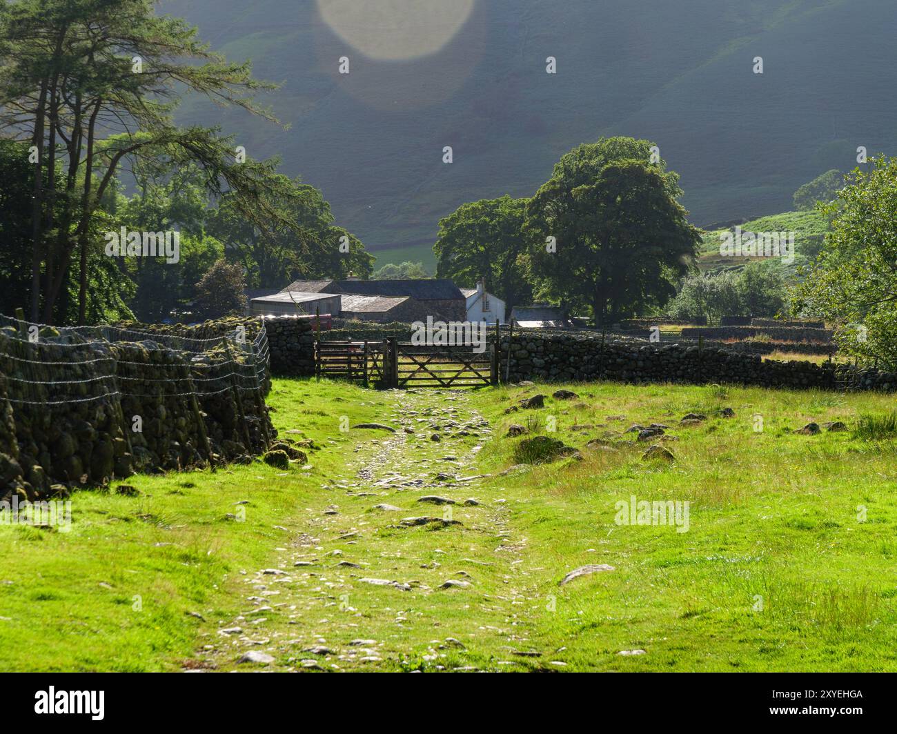 Un tranquillo sentiero costeggiato da rocce si snoda attraverso vivaci campi verdi, che conducono a una pittoresca fattoria annidata tra alberi e colline in una giornata di sole. Foto Stock