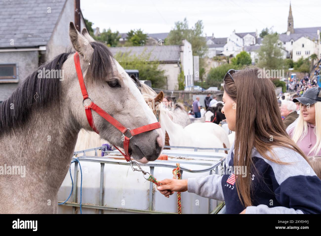 Cavallo marrone chiaro e bianco, profilo laterale di una giovane donna che tiene la corda di ancoraggio, strada trafficata. Fiera Ould Lammas, Ballycastle, Regno Unito - 26 agosto 2024. Foto Stock