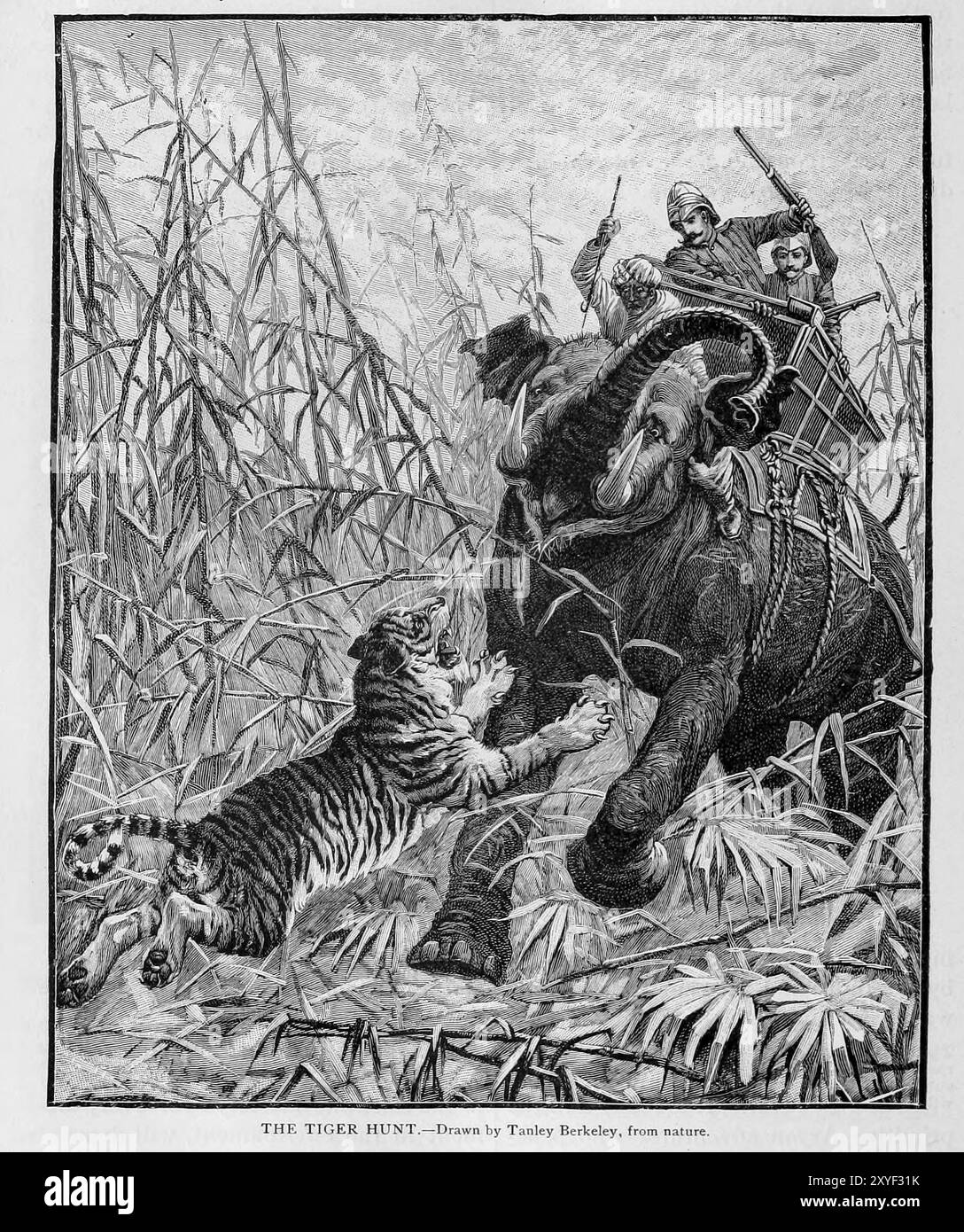 La caccia alla tigre dal volume II della storia universale di Ridpath di Ridpath, John Clark, 1840-1900 pubblicato nel 1897 Foto Stock