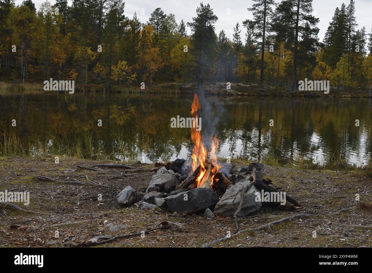 Fuoco di una sera in svezia. Falò in Svezia Foto Stock