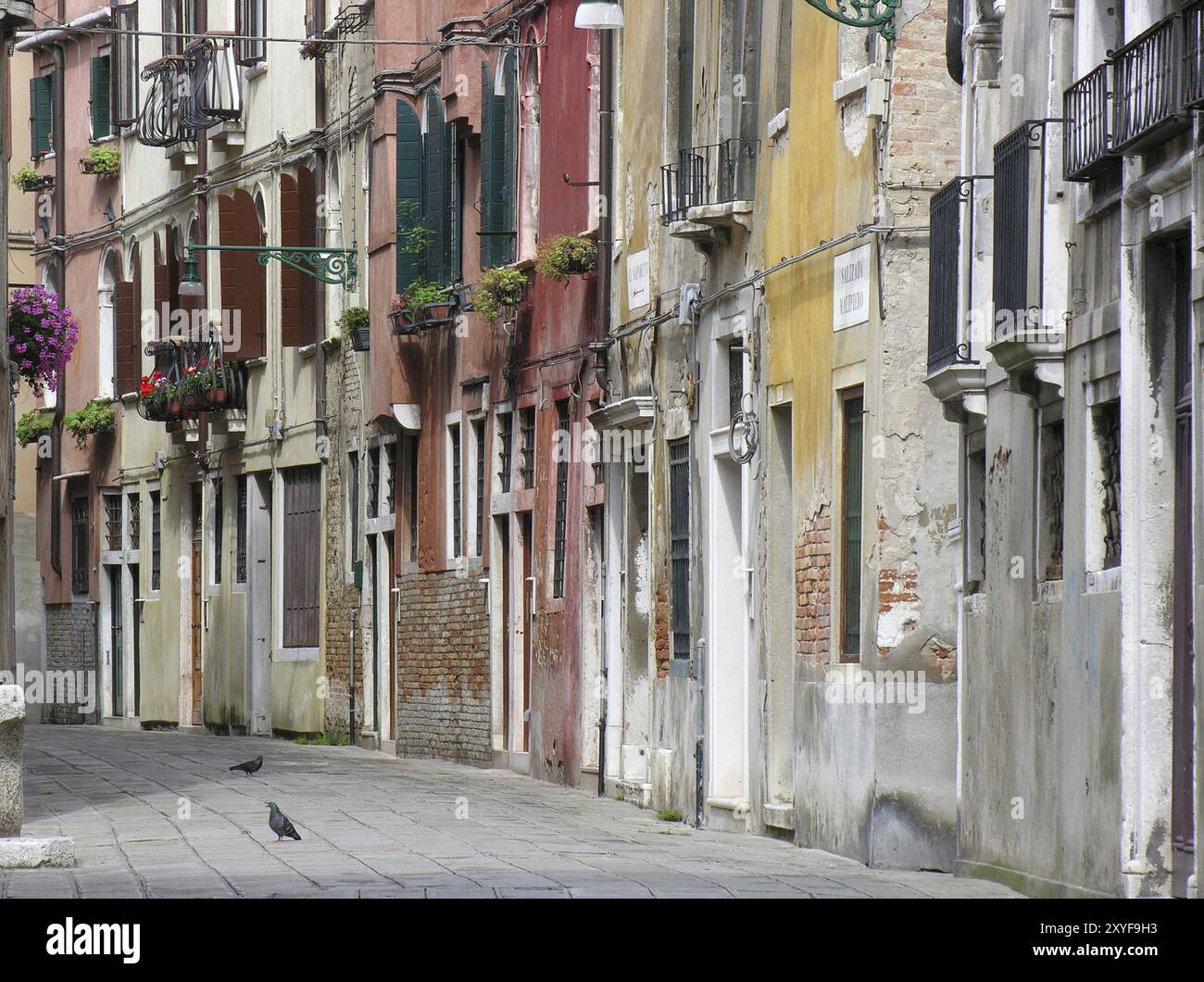 Venezia Foto Stock