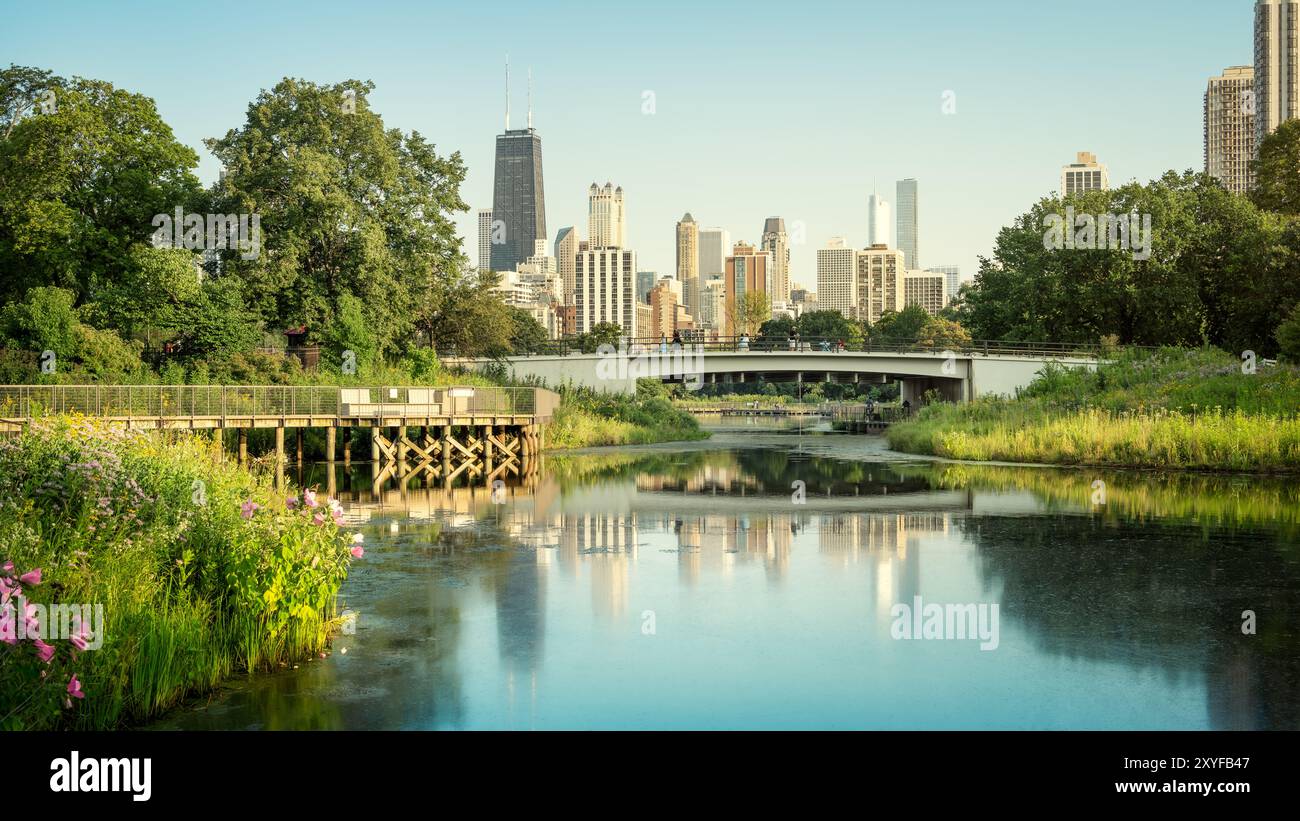 lo skyline di chicago e il bellissimo lincoln park Foto Stock