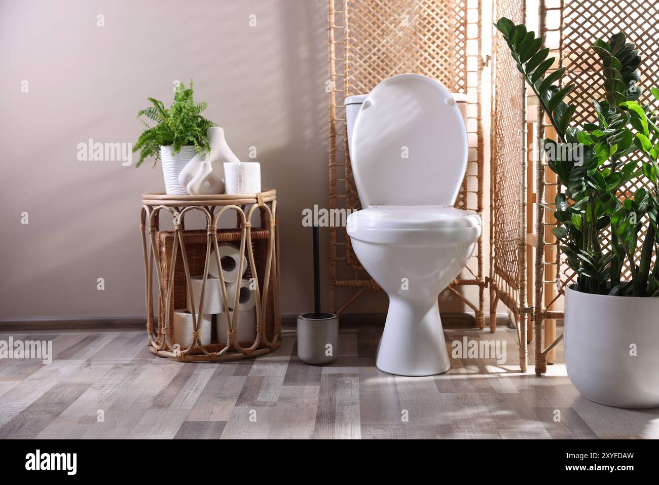 WC bianco, rotoli di carta e piante da casa in bagno Foto Stock