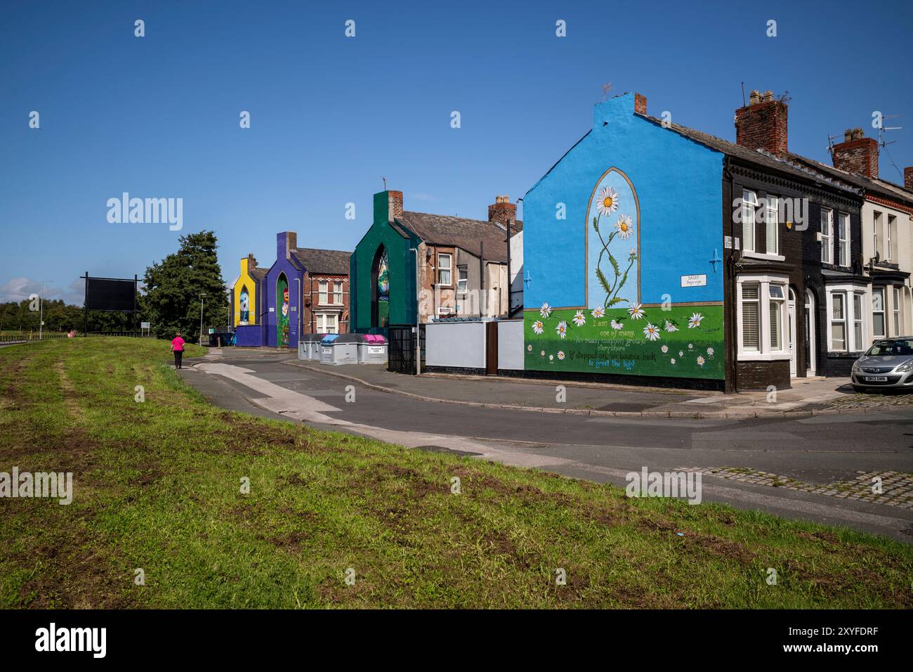 Kirkdale, Liverpool, UK, Flower Street Project 29 agosto 2024. Il progetto Flower Streets è una celebrazione di Kirkdale e dei suoi abitanti, e ha già portato alla realizzazione di nove murales su larga scala sull'estremità delle case, ognuno dei quali rappresenta i fiori omonimi di ogni strada. Le opere d'arte sono una celebrazione della comunità e mirano a ringiovanire l'area, oltre ad affrontare la questione del comportamento antisociale. E ora alla collezione verranno aggiunti altri due pezzi incredibili. L'artista visiva Madeleine Pires, che è stata responsabile di tutto il lavoro fino ad oggi, è tornata a Kirkdale Foto Stock