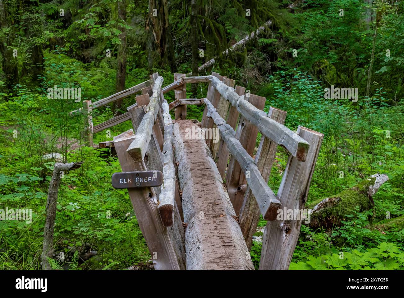 Staircase, Olympic National Park, Washington State, USA Foto Stock