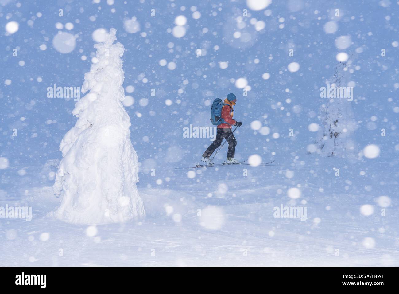 Sciatori sulla neve, riserva naturale di Dundret, Gaellivare, Norrbotten, Lapponia, Svezia, febbraio 2016, Europa Foto Stock