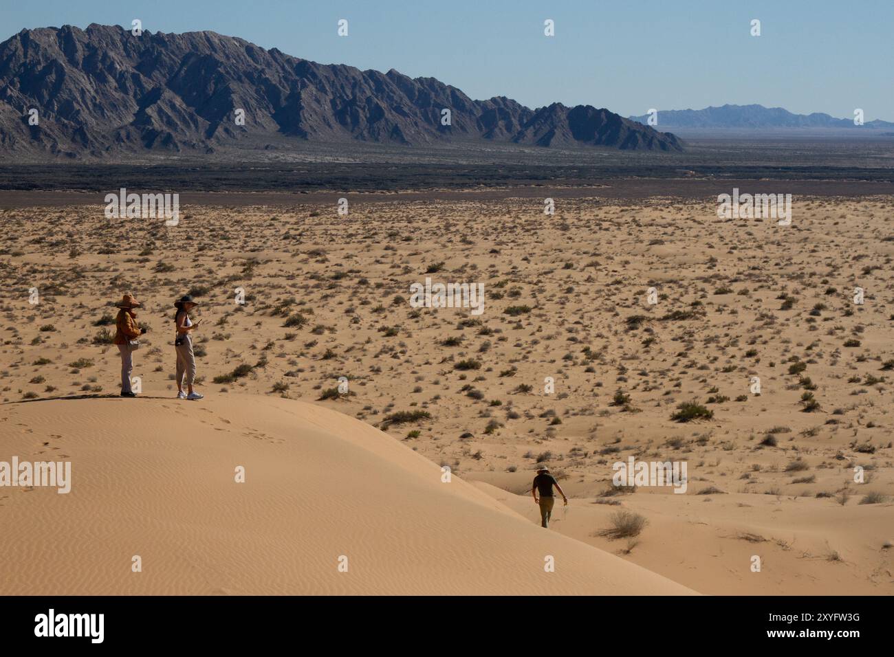 Un gruppo di tre persone sulla cima di una collina nel deserto. Paesaggio desertico. Gran Desierto de Altar, Sonora, Messico. Foto Stock