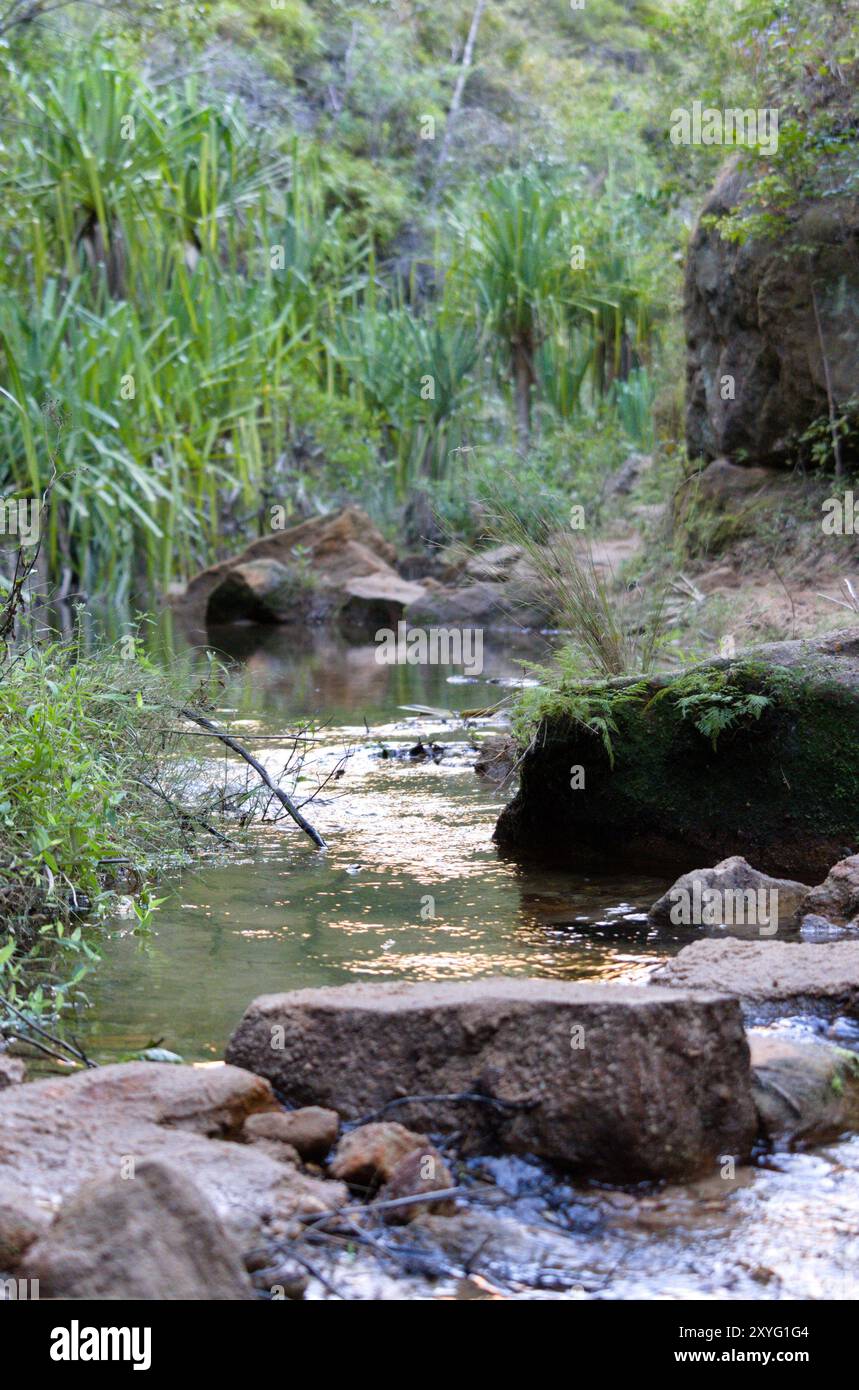 Torrente che scorre sul fondo del canyon nel Parco Nazionale dell'Isalo, Madagascar. Foto Stock