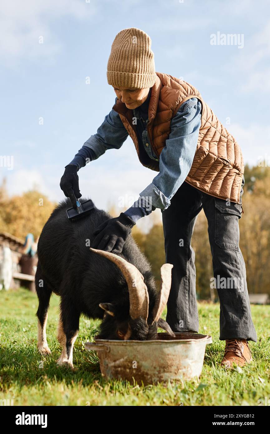 Foto verticale di una donna matura allevatrice con abiti caldi che spazzolano capra nera, mentre gli animali mangiano da un prato rotondo nel verde della fattoria di campagna durante la stagione autunnale Foto Stock