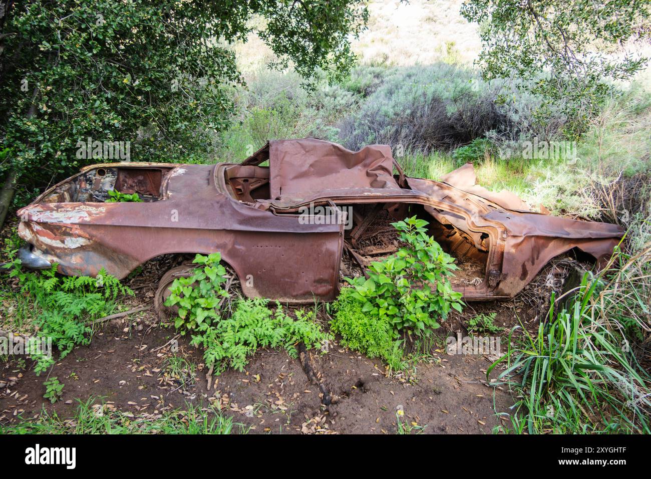 Rovina arrugginita abbandonata dell'automobile degli anni '1960 con una crescita eccessiva. Girato al Santa Susana Pass State Historic Park vicino a Los Angeles, California. Foto Stock