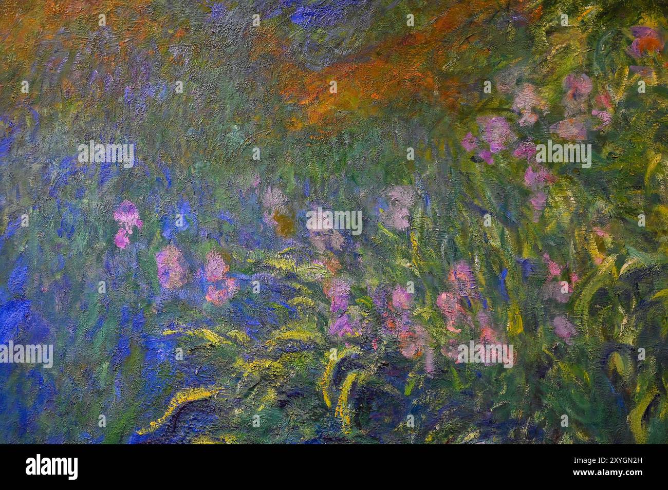 Claude Monet Waterlilies dell'Art Institute di Chicago Foto Stock