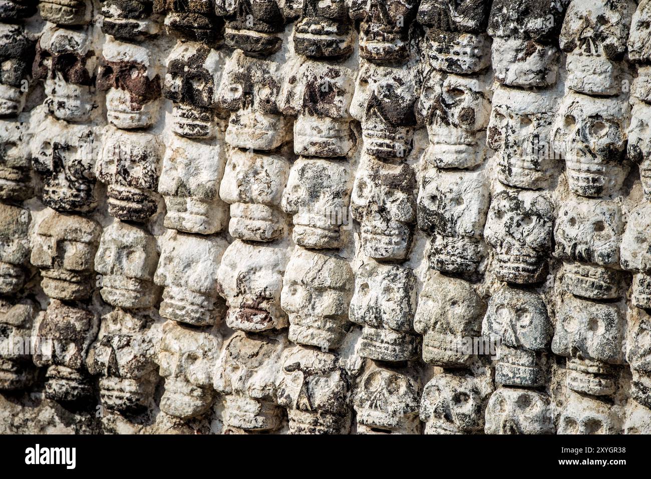 Templo Mayor Altar Tzompantli Stone Skulls città del Messico // CITTÀ DEL MESSICO, Messico - l'Altar Tzompantli (edificio B) nel sito Templo Mayor, con file di teschi di pietra intricati intagliati. Questa struttura, associata alle pratiche sacrificali azteche, fornisce una visione impressionante delle credenze religiose e cosmologiche della cultura mesoamericana precolombiana. Foto Stock