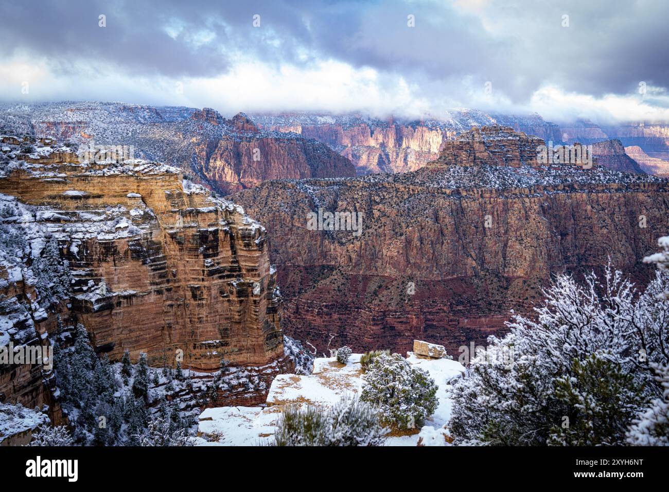 Parco nazionale del Grand Canyon con neve in Arizona, Stati Uniti Foto Stock